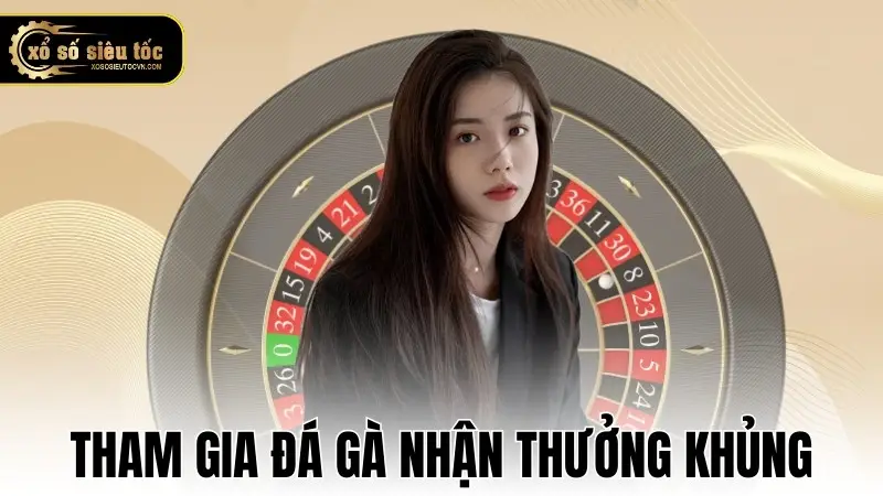 Tham gia đá gà trực tuyến hốt bạc